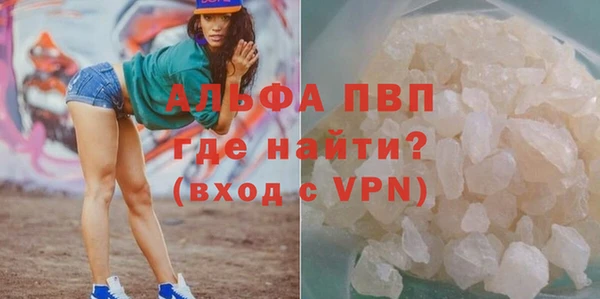 стаф Осинники