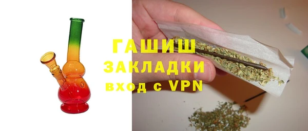 гидра Богородицк