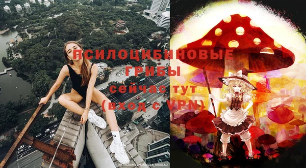 синтетический гашиш Богородск