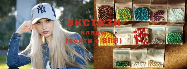 гидра Богородицк