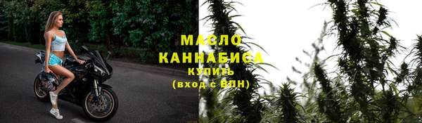 гидра Богородицк